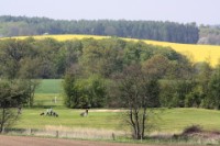 Golfplatz Hohwacht